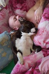 Benutzerfoto Marcin842604