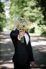 Foto utilizatorului SobniFikus