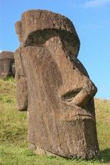 Zdjęcie użytkownika algers