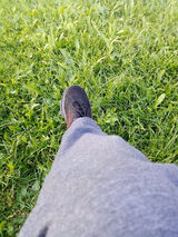 Фотография пользователя gustawconte1995