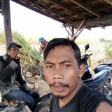 Фото користувача budiyono