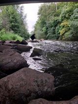 Фото користувача Ryccoony3