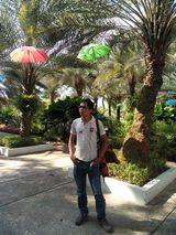 Фотография пользователя aldifiransyah453