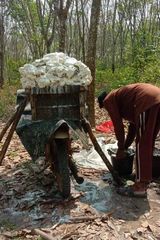 Zdjęcie użytkownika NofiN