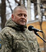 Фотография пользователя palamarchykoleksa