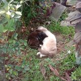 Photos jimmyverrel360