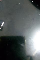 Benutzerfoto Danan