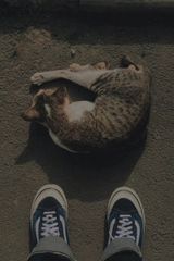 Photos dikisusanto181