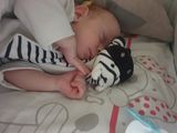Zdjęcie użytkownika sebebek