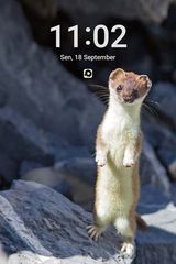 Фото користувача attoyibun211alfi59