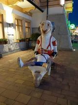 Photos krzysiekdlugosz606