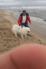 Fotos DobryWujek