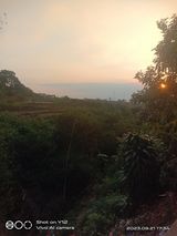 Foto utilizatorului theaacodel