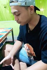 Photos tonilumajang56