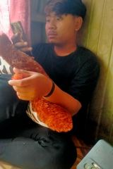 Zdjęcie użytkownika zissdik