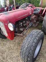 Zdjęcie użytkownika misio853