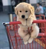 Foto pengguna Radeq000