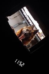 Фотография пользователя Capric0rn