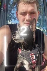 Fotka uživatele leonsommerfeld42