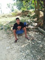 Fotos elvacahmbeling