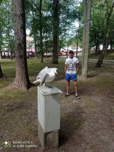 Фотография пользователя sebastian9yg1