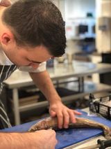 Zdjęcie użytkownika dniedbala2