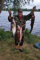 Benutzerfoto a9187045