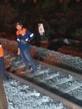 Zdjęcie użytkownika Andikacancer