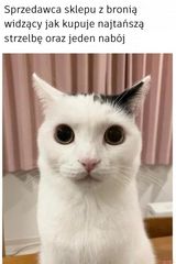 Zdjęcie użytkownika UwU00