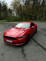 Zdjęcie użytkownika Pawcio12e