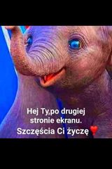 Zdjęcie użytkownika PiotrekGubala