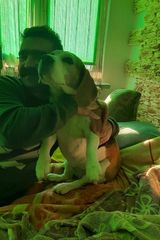 Benutzerfoto piotrjaniszewski52