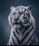Фотография пользователя Hubert35
