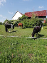 Photos ToporekKr