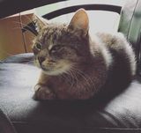 Фотография пользователя frankyyy