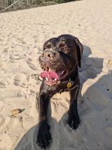 Benutzerfoto marcinadamski12593