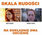 Фотография пользователя Maniolon