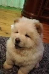 Fotka uživatele dariuszmichalek06