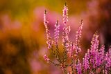 Foto pengguna piotrek969696
