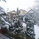 Benutzerfoto daro767676