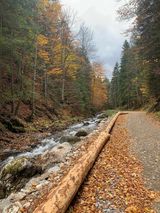 Photos Pablopawel998