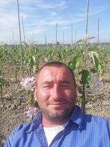 Фотография пользователя PiotrKwasny