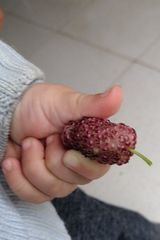 Zdjęcie użytkownika YacineDj