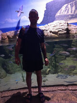 Benutzerfoto piotrek2300