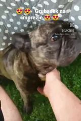 Zdjęcie użytkownika KordianKura1