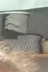 Zdjęcie użytkownika aleksandrahajnosz