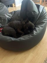 Photos Jacus093