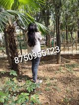 Fotos monakumarisharma39