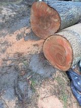 Photos piotreknowicki972