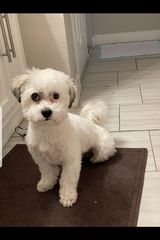 Zdjęcie użytkownika Harvley